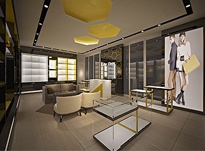 Handbag Display