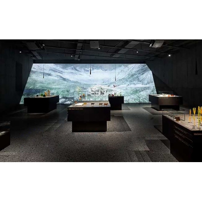 museum display cabinet5